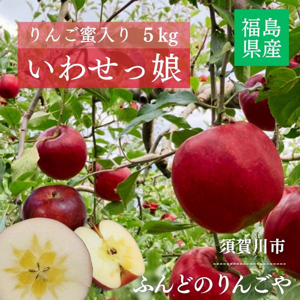 りんご 【ふんどのりんごや】 オリジナル品種 いわせっ娘 5kg 16～18個 福島県須賀川 《12/上旬～12/下旬の出荷》