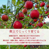 りんご 【ふんどのりんごや】 ふじ 5kg  16～18個 福島県須賀川 《1/上旬～1/下旬の出荷》