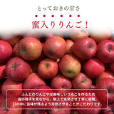 りんご 【ふんどのりんごや】 ふじ 5kg  16～18個 福島県須賀川 《1/上旬～1/下旬の出荷》