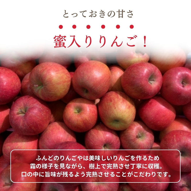 りんご 【ふんどのりんごや】 ふじ 5kg  16～18個 福島県須賀川 《1/上旬～1/下旬の出荷》