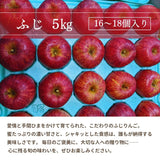 りんご 【ふんどのりんごや】 ふじ 5kg  16～18個 福島県須賀川 《1/上旬～1/下旬の出荷》