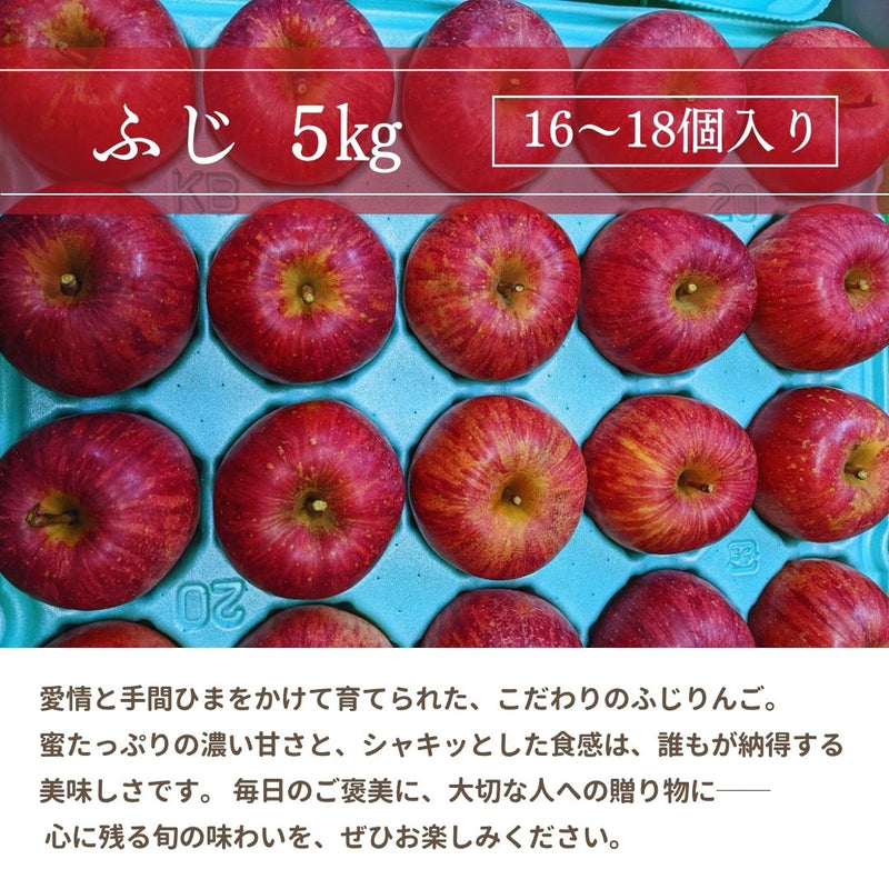 りんご 【ふんどのりんごや】 ふじ 5kg  16～18個 福島県須賀川 《1/上旬～1/下旬の出荷》