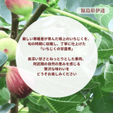 無花果 甘露煮【岡崎】 いちじく甘露煮 260g×6個 贈答用 福島県 伊達郡産