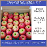 りんご 【志藤農園】 小玉りんご ピンクレディ 家庭用 5kg 23～28個 山形県 リンゴ 林檎