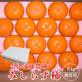 柿 【会津遠藤農園】みしらず柿 御山柿 5kg 5L 12個 秀 贈答用 福島県会津 《11/下旬～12/中旬出荷》