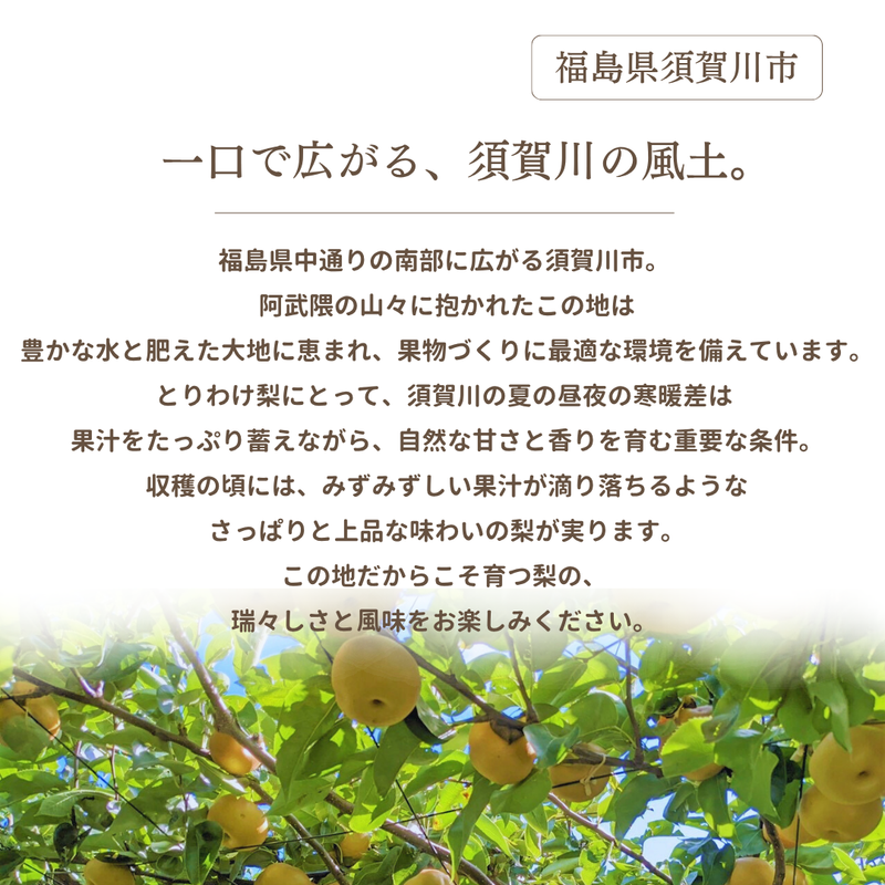 梨 【箭内厳雄果樹園】 家庭用 1種 5kg 8～11個 福島県須賀川市《11/上旬～11/中旬より出荷》