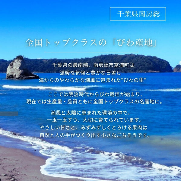 びわ 【生稲農園】 房州びわ 2kg 24～30個 サイズ色々 枇杷 皇室献上の実績 父の日 千葉県南房総市《5/中旬～5/下旬より出荷》