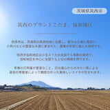 スイカ 小玉スイカ 【KSK出荷組合】 紅トップ べにくろ 2L どちらか1個 2～3kg 贈答用 茨城県筑西市 すいか 小玉 母の日 《5/6～5/中旬より出荷》