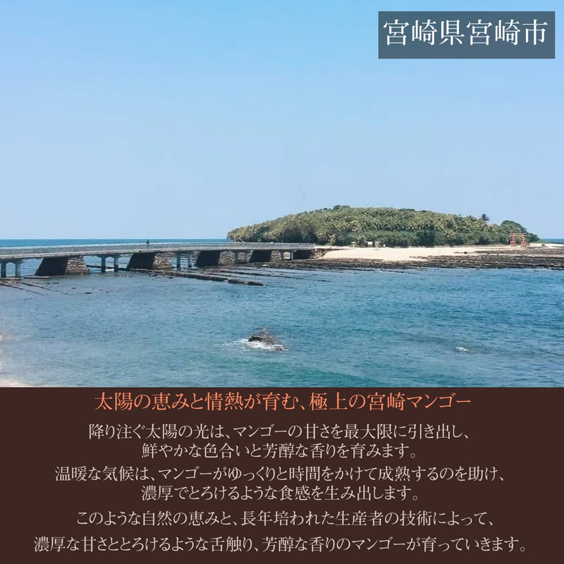 マンゴー 【ウィナーズベル】 太陽のタマゴ 糖度15度以上 贈答用 3L 2個  宮崎県宮崎市 《5/上～5/中より出荷》
