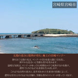 マンゴー 【まるのわマンゴー】 完熟マンゴー L 4個 宮崎県宮崎市 《5/上～5/中の出荷》