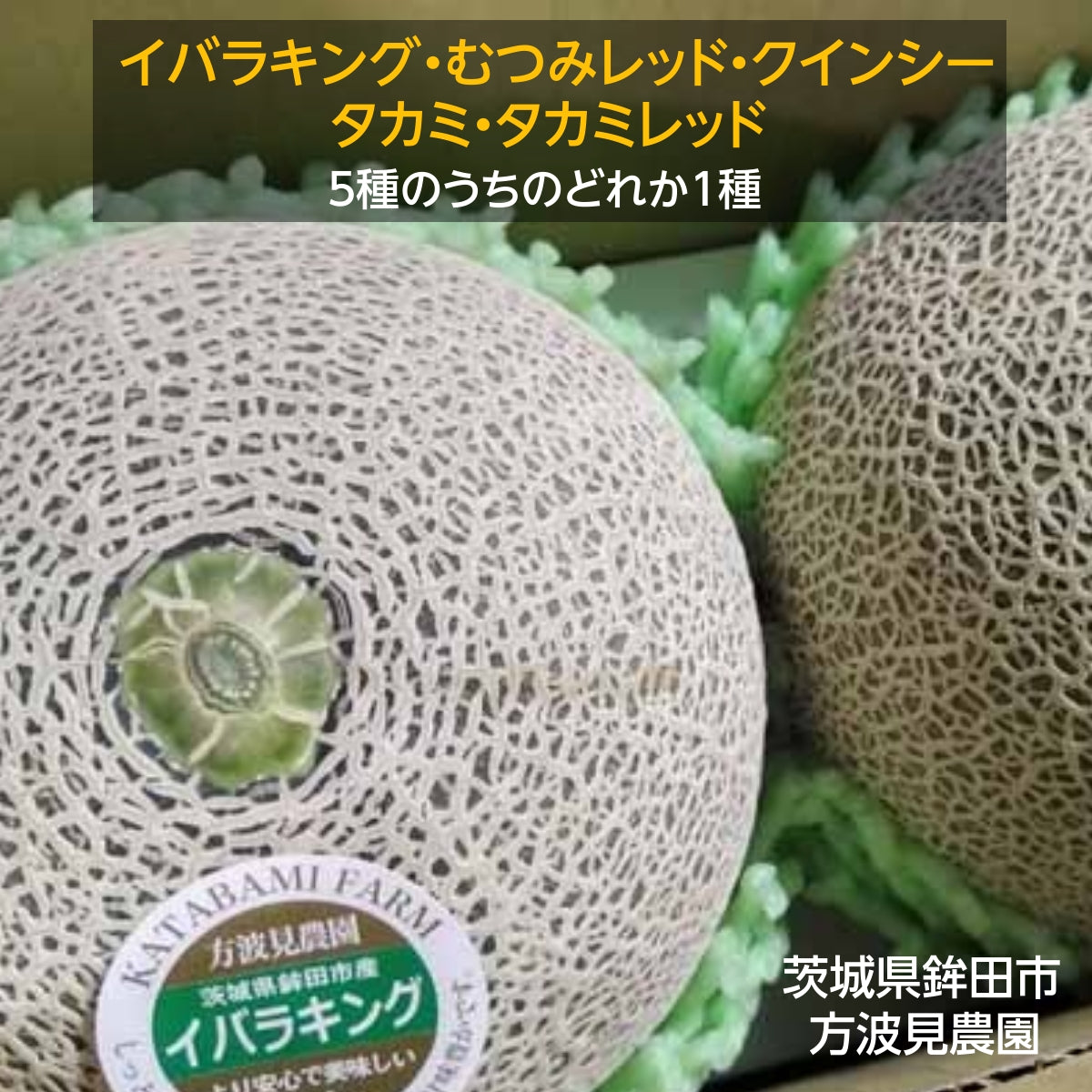 メロン 【方波見農園】 むつみレッド イバラキング クインシー タカミ
