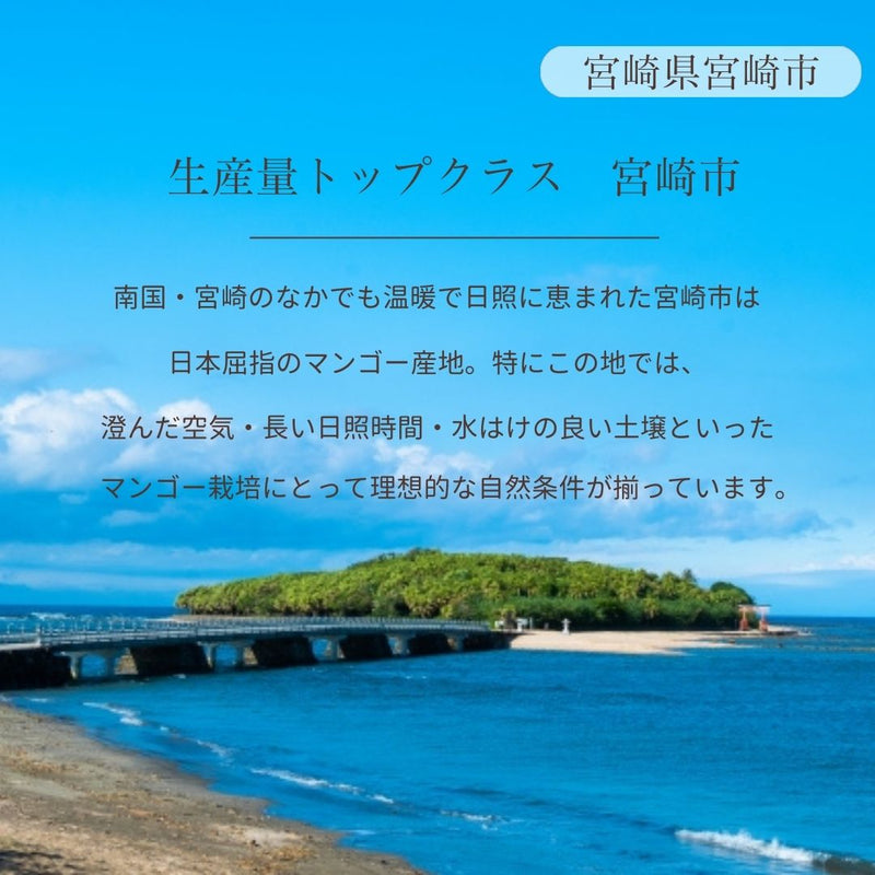 マンゴー 【緒方果樹園】 完熟マンゴー 2L 2個 700g 贈答用 宮崎県宮崎市 《5/上～5/中より出荷》