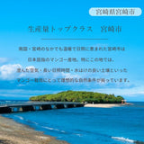 マンゴー 【緒方果樹園】 完熟マンゴー 特大 5～6L 1個 600g以上 贈答用 宮崎県宮崎市 《6/上～6/下の出荷》