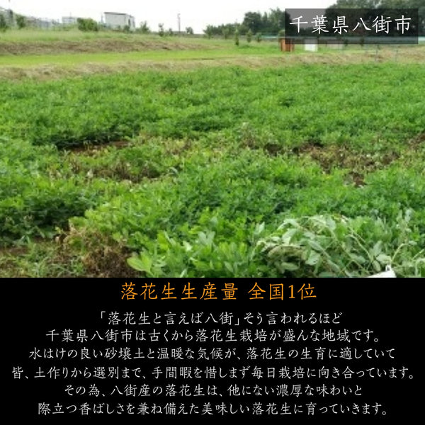 ピーナッツ 落花生 【まめひろ】 落花生 千葉半立 400g×3 八街産 千葉県八街市