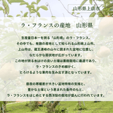 洋梨 【木村フルーツ】 洋なし ラ・フランス 家庭用 訳あり 約3kg 山形県上山市 ラフランス《11/中旬～11/下旬より出荷》