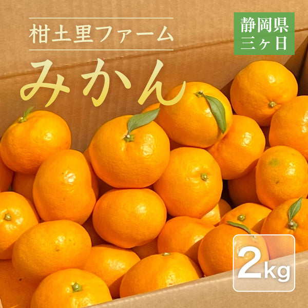 みかん 【柑土里ファーム】 三ヶ日みかん 2㎏ S~L混載(SM多め) 糖度12