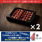 いちご 【斎藤農園】4種 食べ比べ (15～20粒 300g)×4P 福島県伊達市 《5/1～5/10より出荷》