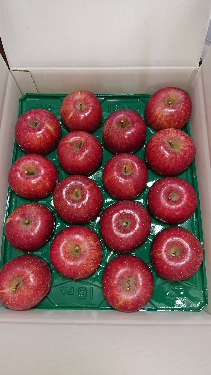 りんご 【松浦農園】 リンゴ ふじ べにこはく 10kg 30～36個 贈答用 福島県 国見町《12/上旬～12/中旬より出荷》