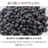 国産 冷凍ブルーベリー 《 業務用 関東・南東北・新潟限定 》 農薬不使用 品種大きさ色々 1000kg 福島県産 《2025年8月中旬より出荷開始》