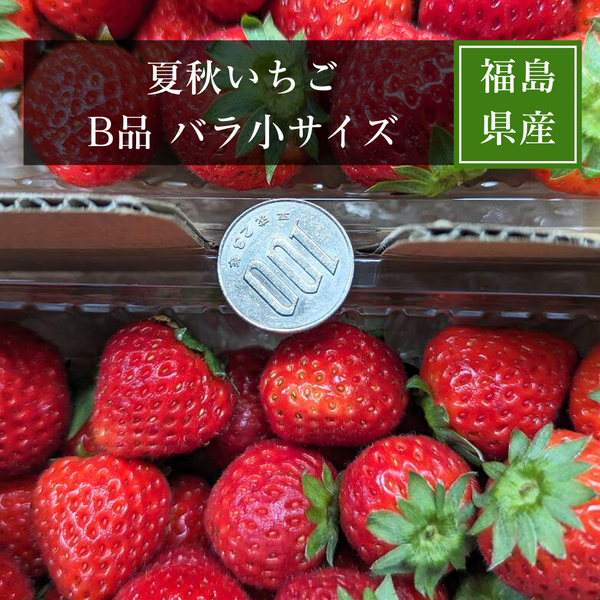 いちご 夏いちご  業務用 雷峰 すずあかね バラ小  2240g (280g×4P)×2箱 訳あり B品  小さめ 福島 飯館 ケーキ お菓子作り イチゴ 苺 夏