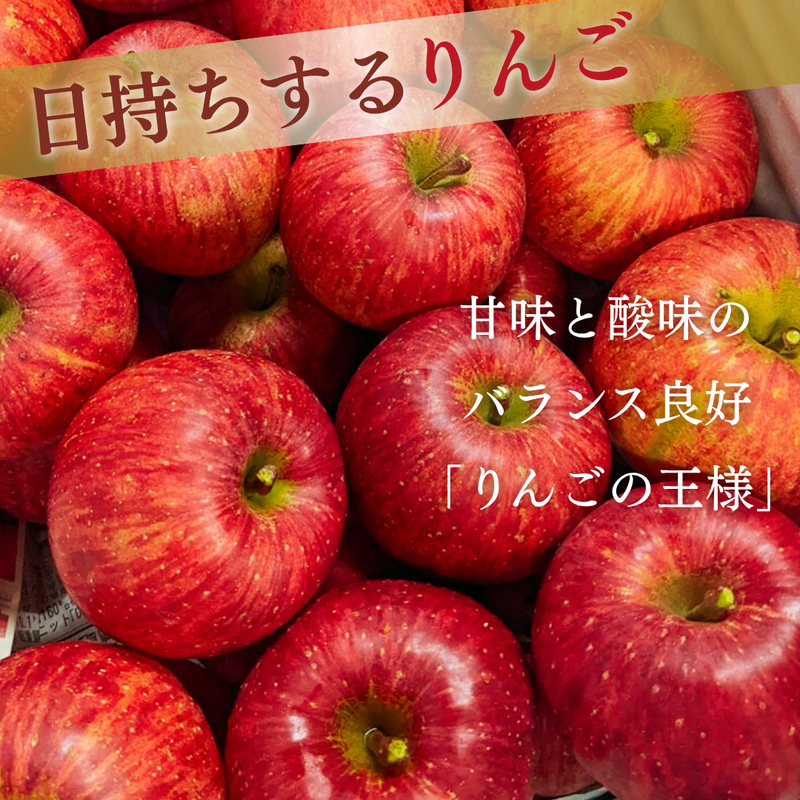 りんご 【ふんどのりんごや】 ふじ  蜜無し 長期保存用 5kg  16～18個 福島県須賀川《2/上旬～2/中旬より出荷》