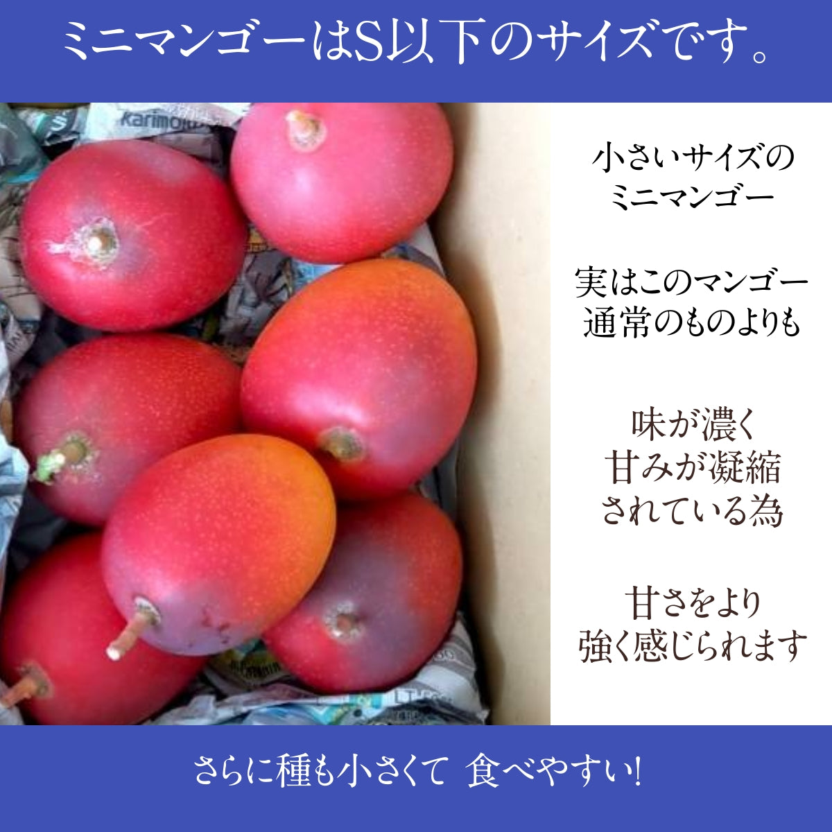 沖縄 】摘果マンゴー 約7kg 【raw mango】