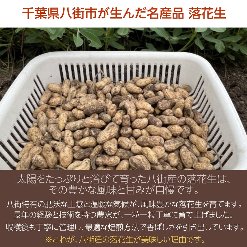 ピーナッツ 落花生 【まめひろ】 殻付き落花生 千葉半立 400g×1 ポスト投函 八街産 千葉県八街市