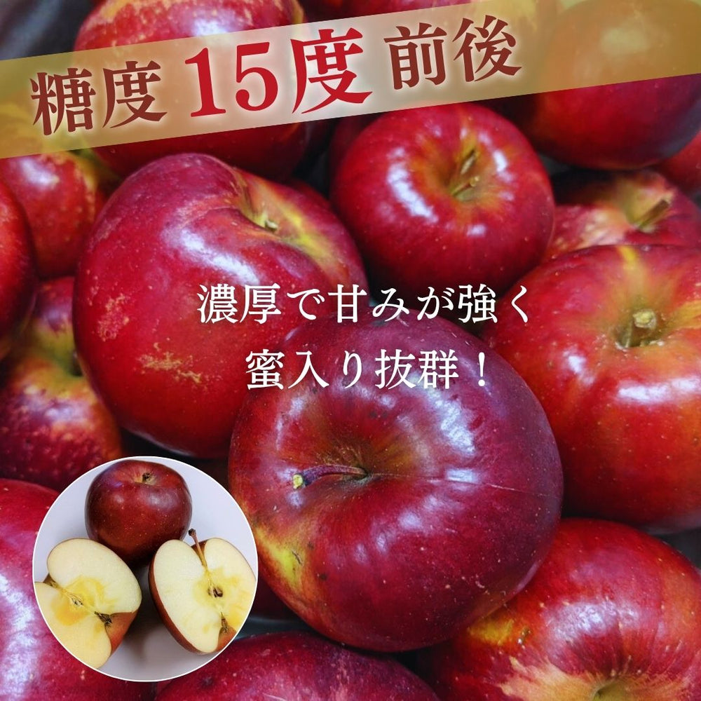 りんご 【ふんどのりんごや】 オリジナル品種 いわせっ娘 5kg 16～18個