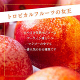 マンゴー 【緒方果樹園】 完熟マンゴー 特大 5～6L 1個 600g以上 贈答用 宮崎県宮崎市 《6/上～6/下の出荷》