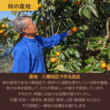 柿 甘柿 【石岡 鈴木農園】 八郷の柿 特選 4L以上 3個 1kg 品種お任せ 茨城県石岡市 《10/中旬～10/下旬の出荷》