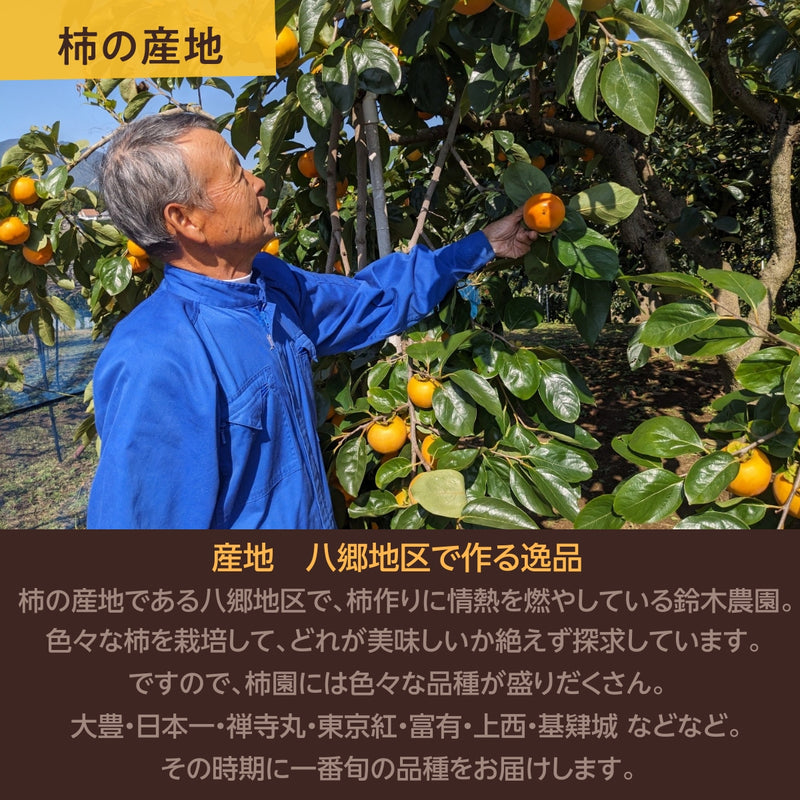 柿 甘柿 【石岡 鈴木農園】 八郷の柿 特選 4L以上 3個 1kg 品種お任せ 茨城県石岡市 《10/中旬～10/下旬の出荷》