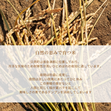 米 【ライズサプール】 ひとめぼれ 玄米 30kg 精米不可 玄米のみ 福島県只見町 会津 令和7年産 《2025年10月より出荷》