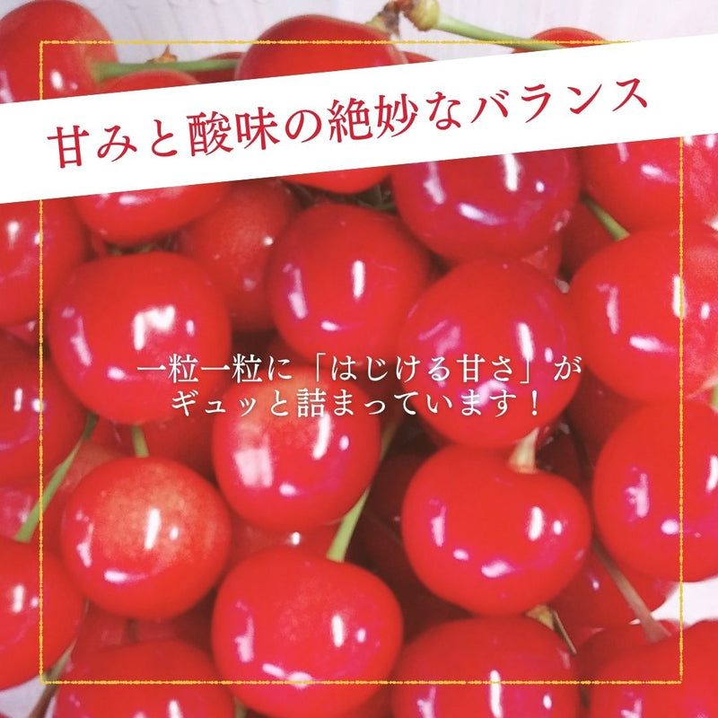 さくらんぼ 【フルーツ彩】 佐藤錦 200g×4P 800g ML 山形県上山市  《6/中旬～6/下旬の出荷》