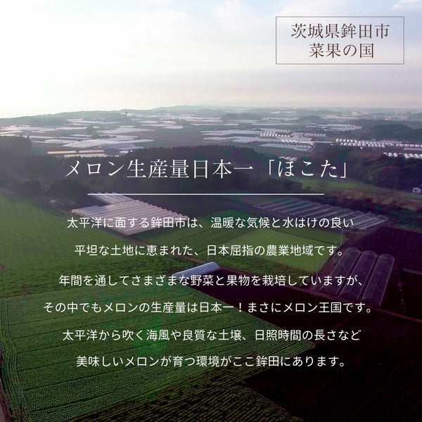 メロン 【メロン農家の根崎】 イバラキング 2玉 3kg 家庭用 2024年 イバラキング品評会1位 茨城県鉾田市 《6/上旬～6/中旬より出荷》