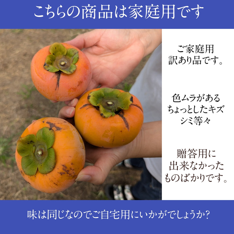 柿 甘柿 【根津農園】 富有柿 石和の柿 4kg 15～16個 家庭用 山梨県笛吹市 種なし かき《10/下旬～11/上旬の出荷》