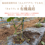 キュウリ 【エムズアグリ】業務用 訳あり きゅうり 約15㎏ 福島県須賀川市