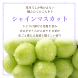 ぶどう 【箭内厳雄果樹園】 シャインマスカット 約1.8kg 2～３房 福島県 《10/上旬より出荷開始》