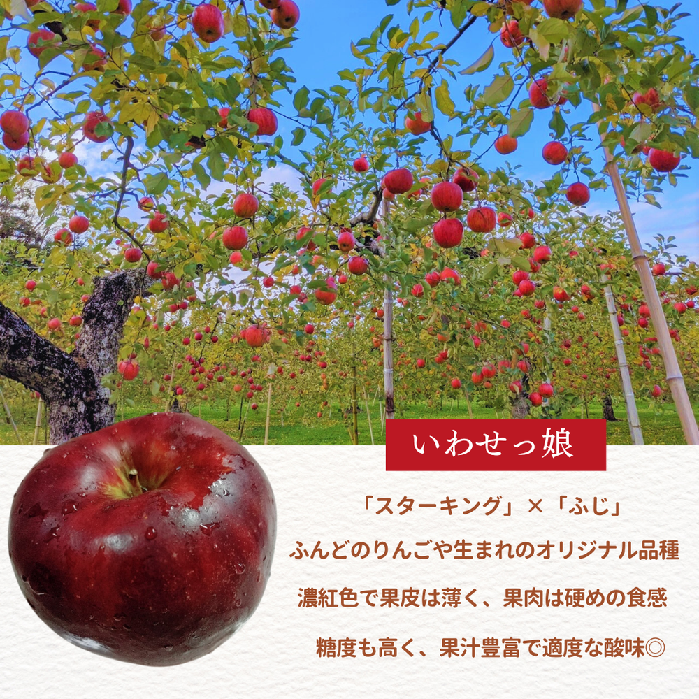 ✨✨りんご✨✨ りんご 【ふんどのりんごや】 オリジナル品種 いわせっ娘 5kg 16〜18個