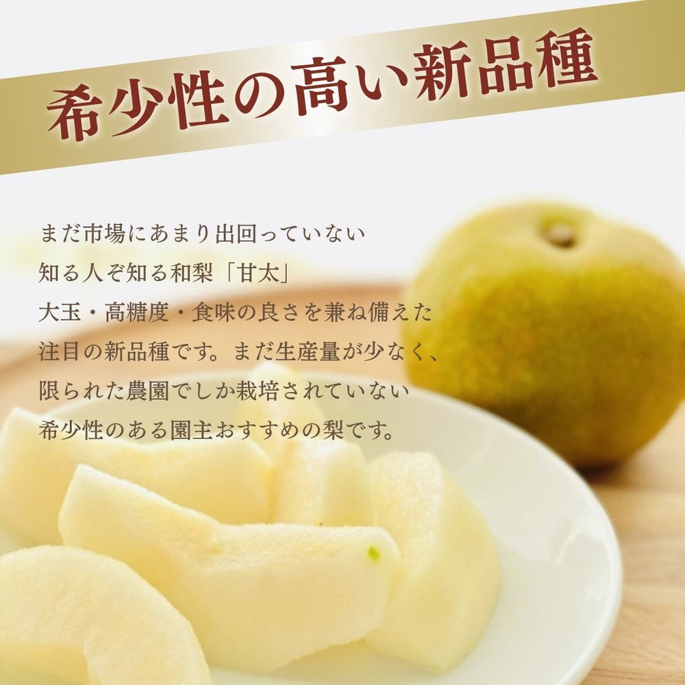 ⚠️YUKA⚠️茨城県産　梨/甘太　訳あり品 3キロ ⚠️YUKA様専用⚠️茨城県産 梨/甘太 訳あり品 3キロ