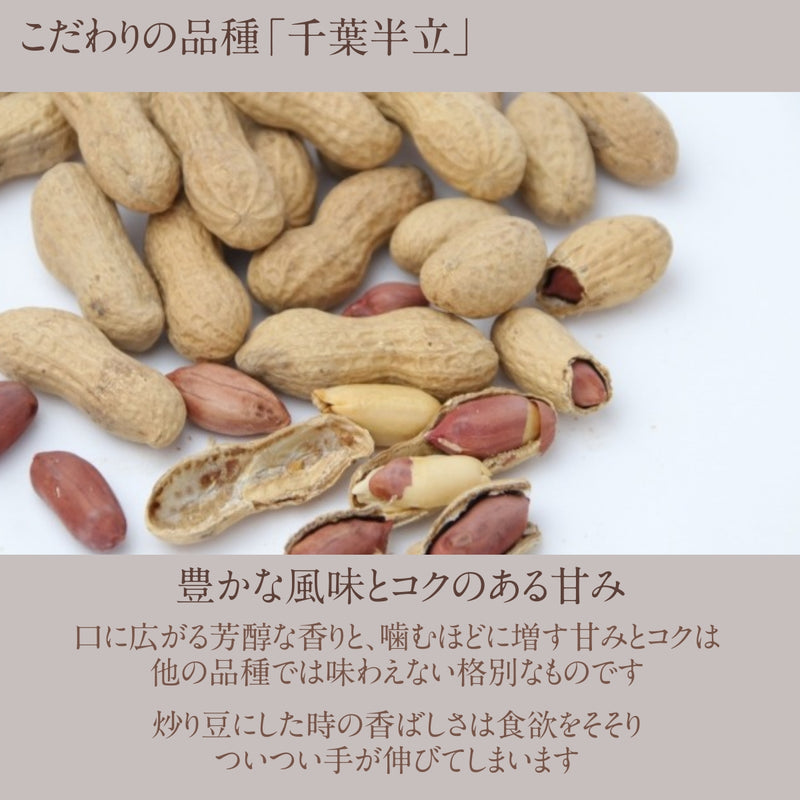 ピーナッツ 落花生 【まめひろ】 殻付き落花生 千葉半立 400g×1 ポスト投函 八街産 千葉県八街市