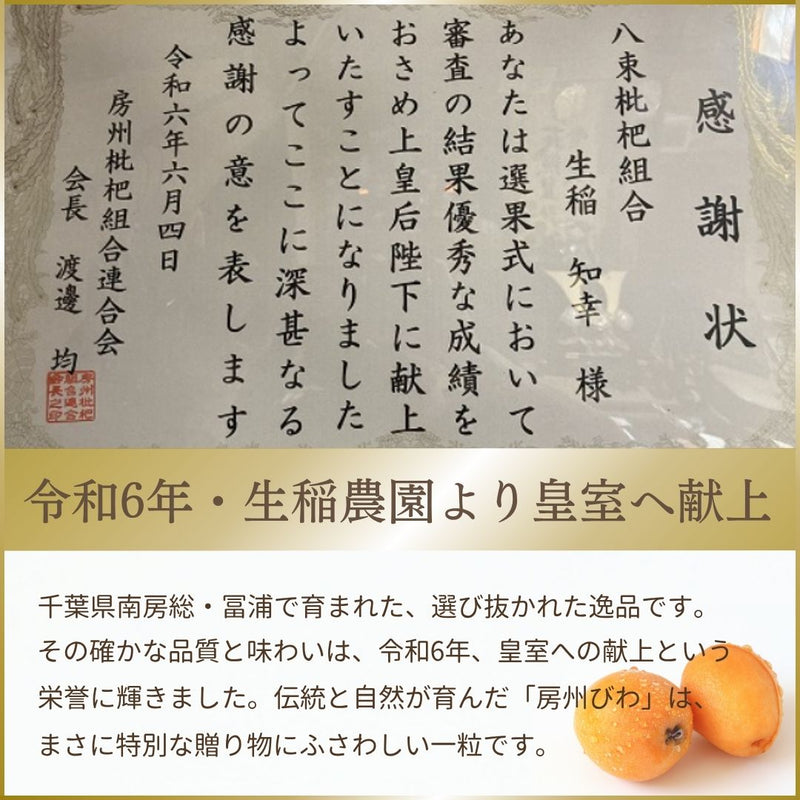 びわ 【生稲農園】 房州びわ 2kg 24～30個 サイズ色々 枇杷 皇室献上の実績 父の日 千葉県南房総市《5/中旬～5/下旬より出荷》