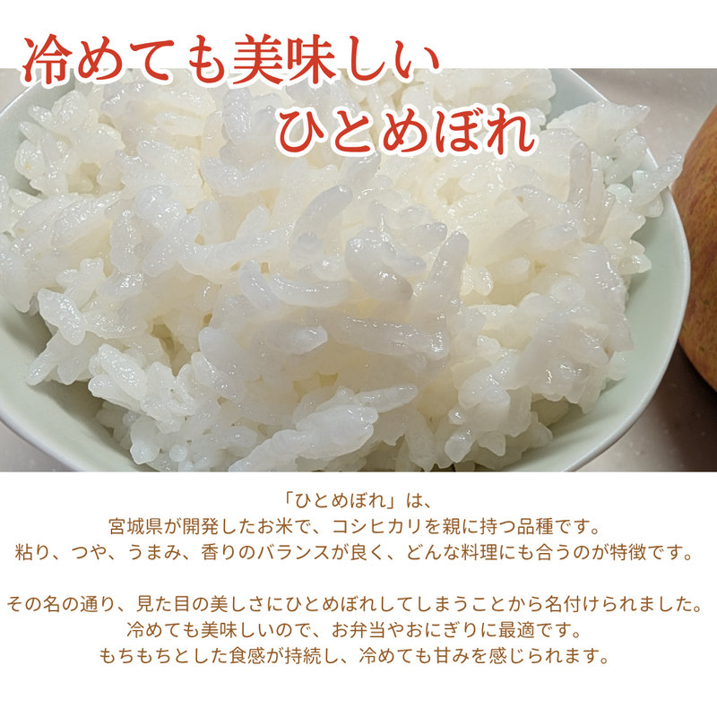 米 【ライズサプール】 ひとめぼれ 玄米 30kg 精米不可 玄米のみ 福島県只見町 会津 令和7年産 《2025年10月より出荷》