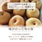 梨 【箭内厳雄果樹園】 家庭用 1種 5kg 8～11個 福島県須賀川市《11/上旬～11/中旬より出荷》