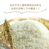 米 【おおひがし稲作研究会】 天のつぶ 玄米 30kg 白米精米可能 福島県須賀川市 令和6年産