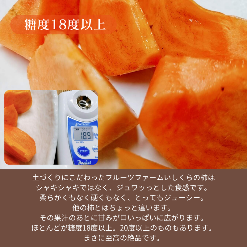 柿 甘柿 【フルーツファームいしくら】 富有柿等 皇室献上の味 広瀬の柿 化粧箱約3kg ３L 8～9個 特秀 贈答用 プレゼント 山梨県笛吹市 種なし かき《10/下旬～11/上旬の出荷》