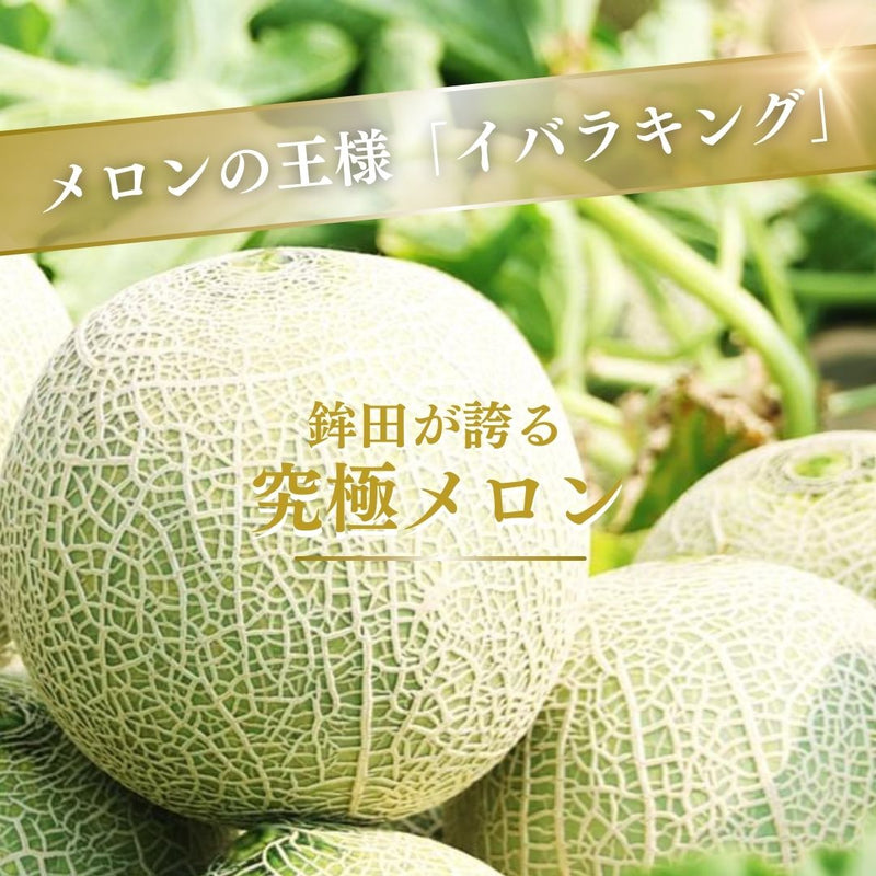 メロン 【メロン農家の根崎】 イバラキング 2玉 3.2kg 贈答用 2024年 イバラキング品評会1位 茨城県鉾田市 《6/上旬～6/中旬より出荷》