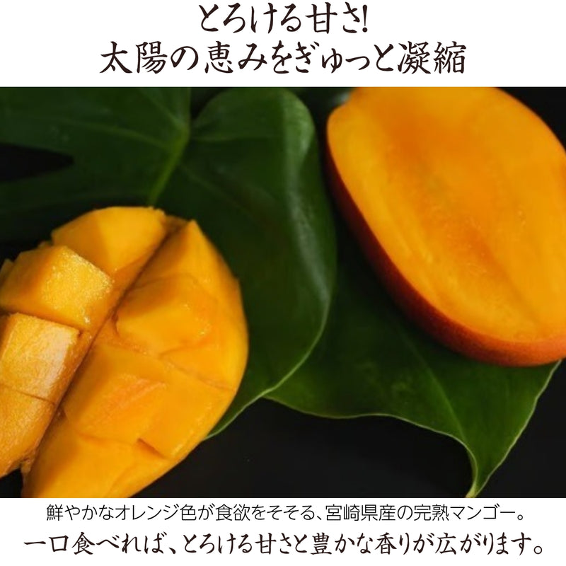 マンゴー 【ウィナーズベル】 完熟マンゴー 贈答用 4L 2個  宮崎県宮崎市 《5/上～5/中より出荷》