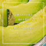 メロン 【メロン農家の根崎】 イバラキング 2玉 3kg 家庭用 2024年 イバラキング品評会1位 茨城県鉾田市 《6/上旬～6/中旬より出荷》