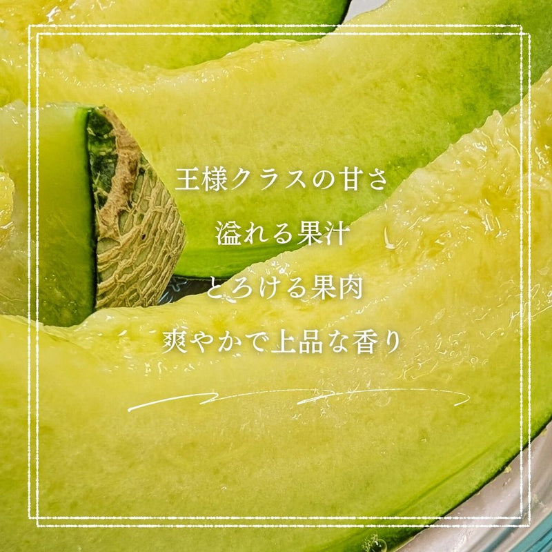 メロン 【メロン農家の根崎】 イバラキング 2玉 3kg 家庭用 2024年 イバラキング品評会1位 茨城県鉾田市 《6/上旬～6/中旬より出荷》