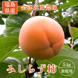 柿 【会津遠藤農園】みしらず柿 御山柿 5kg サイズお任せ 優 家庭用 福島県会津  《11/下旬～12/中旬出荷》